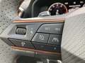 CUPRA Formentor VZ 2.0 TSI 4Drive 228 kW (310 PS) 7-Gang-DSG Weiß - thumbnail 24