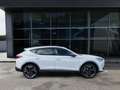 CUPRA Formentor VZ 2.0 TSI 4Drive 228 kW (310 PS) 7-Gang-DSG Weiß - thumbnail 7