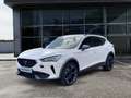 CUPRA Formentor VZ 2.0 TSI 4Drive 228 kW (310 PS) 7-Gang-DSG Weiß - thumbnail 2