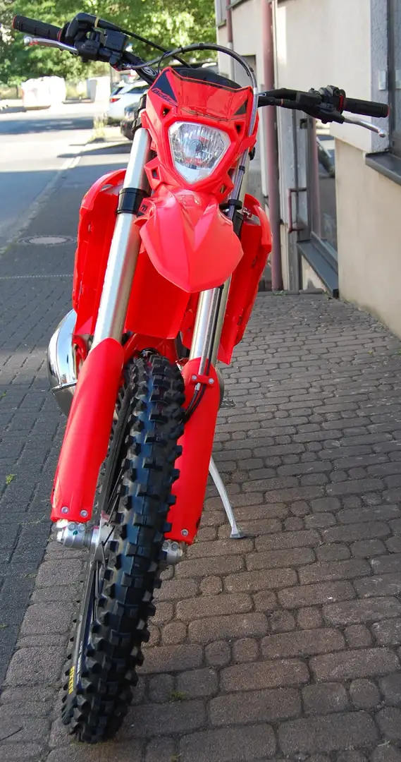 Beta RR 300 RR 300 2T X-Pro | Sportfahrerrabatt möglich Roşu - 2