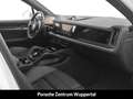 Porsche Cayenne E-Hybrid InnoDrive Head-Up Sportabgas Weiß - thumbnail 23