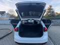 Volkswagen Passat Variant DSG Panorama Kamera Navi App-Conn Weiß - thumbnail 10