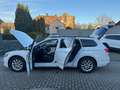 Volkswagen Passat Variant DSG Panorama Kamera Navi App-Conn Weiß - thumbnail 12