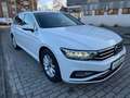 Volkswagen Passat Variant DSG Panorama Kamera Navi App-Conn Weiß - thumbnail 3