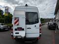 Mercedes-Benz Sprinter II Kasten 513 LBW Klima 1.HD Automatik Blanc - thumbnail 5