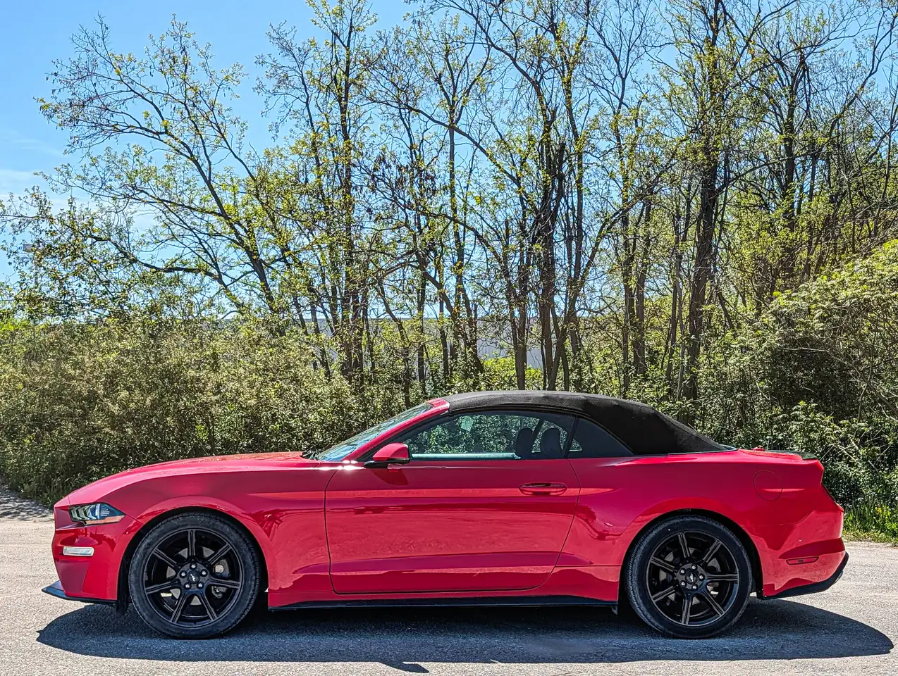 Ford Mustang снимка Ford Mustang