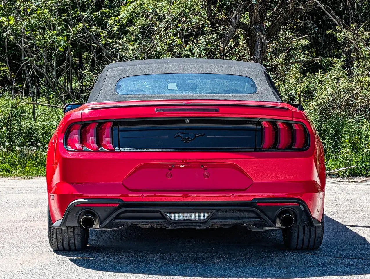 Ford Mustang снимка Ford Mustang