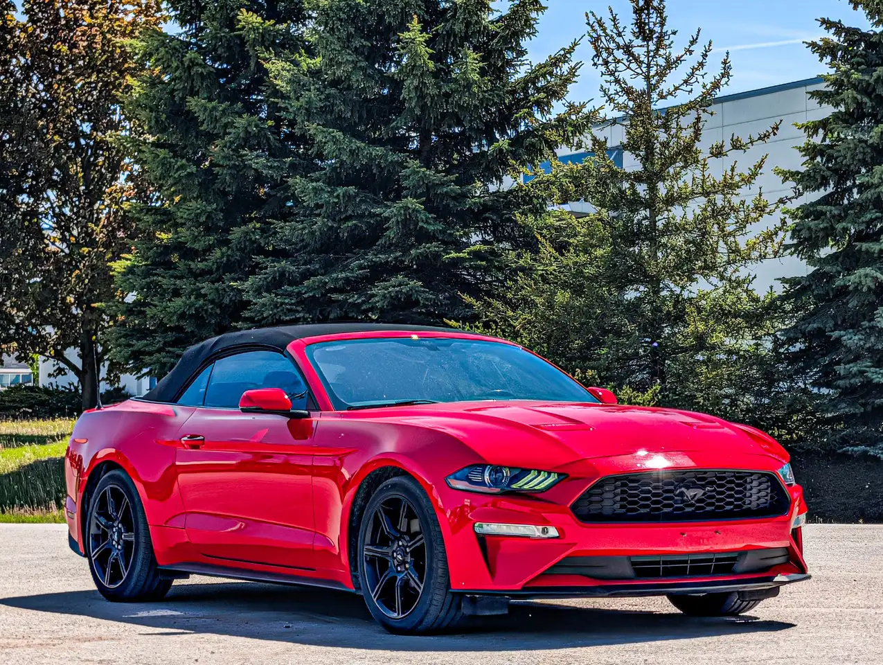 Ford Mustang снимка Ford Mustang
