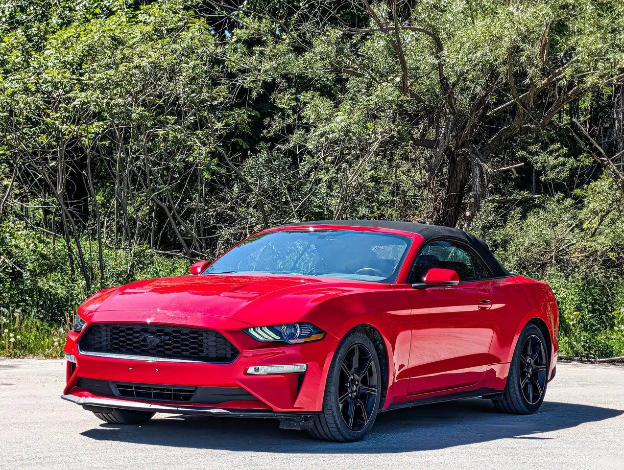 Ford Mustang снимка Ford Mustang