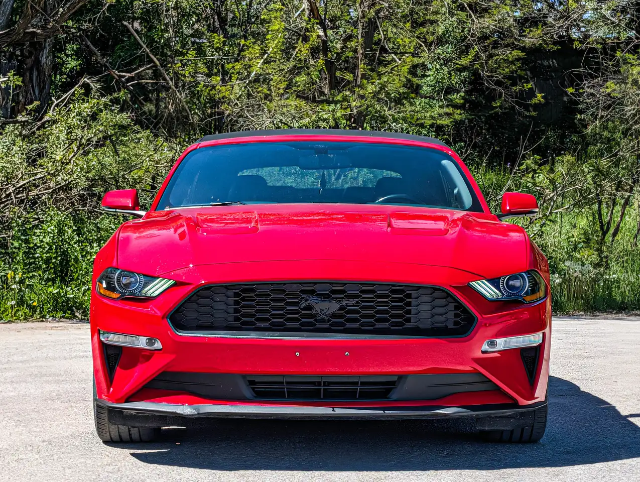 Ford Mustang снимка Ford Mustang