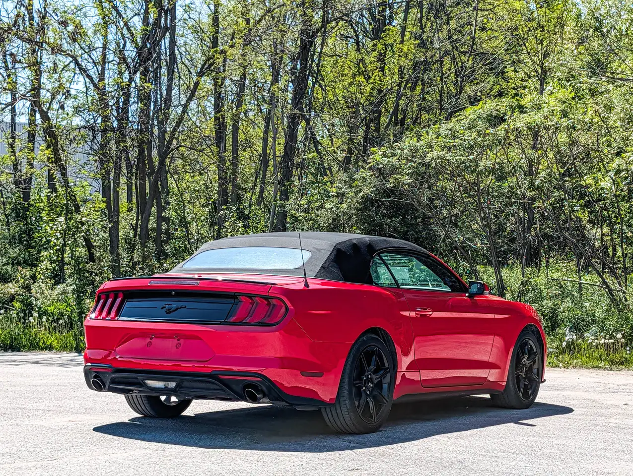 Ford Mustang снимка Ford Mustang