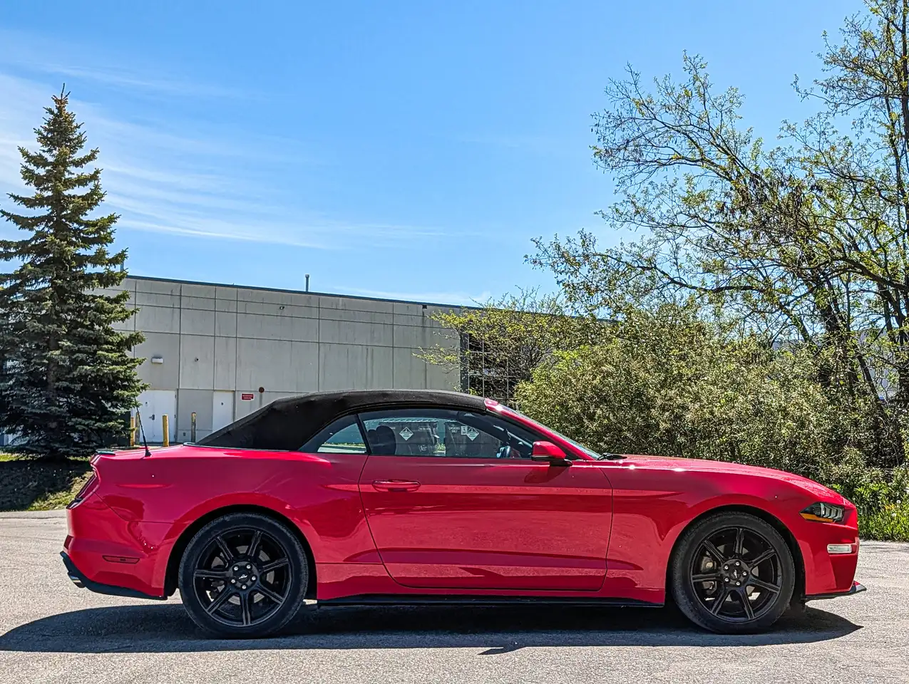 Ford Mustang снимка Ford Mustang