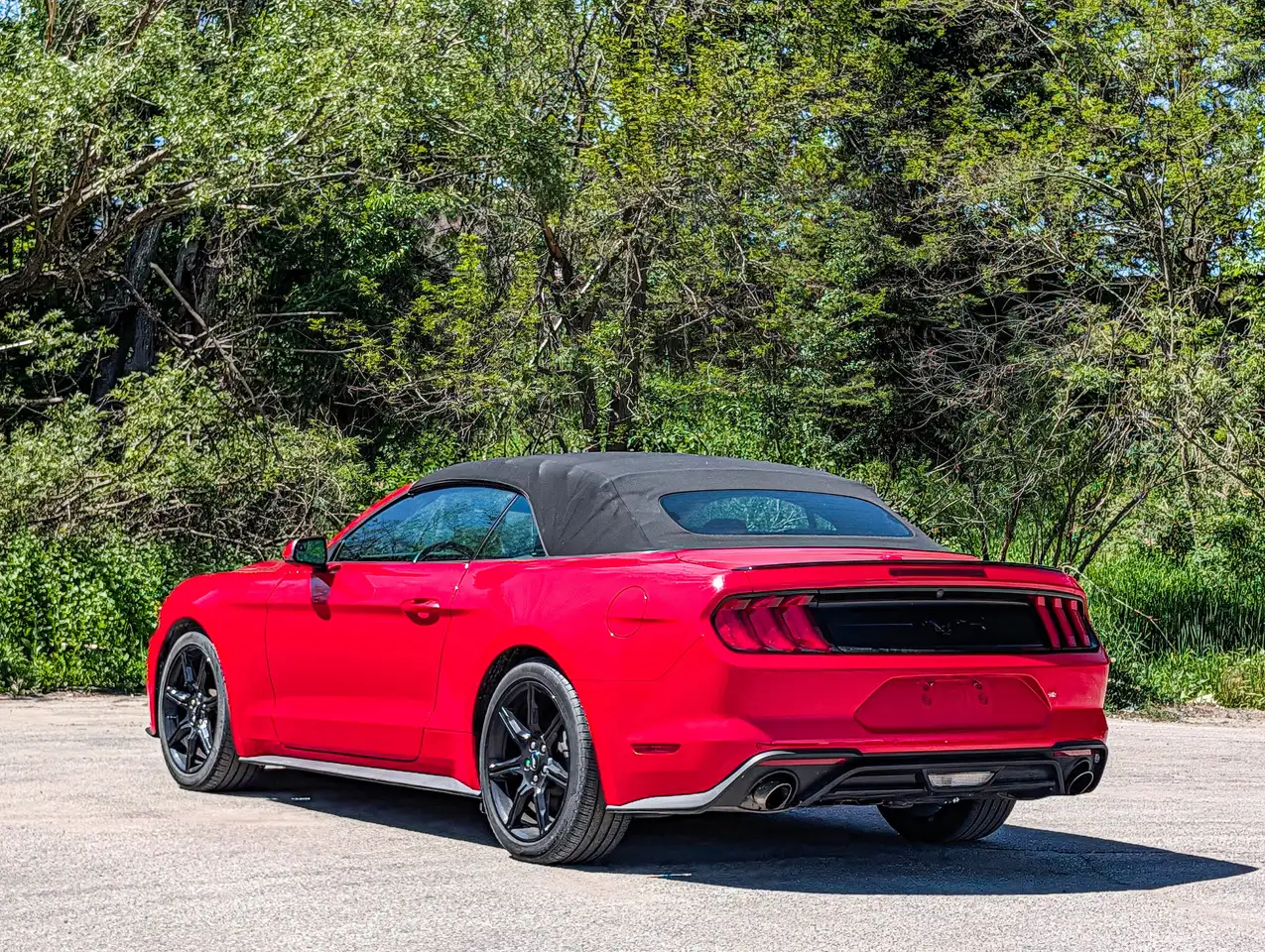 Ford Mustang снимка Ford Mustang