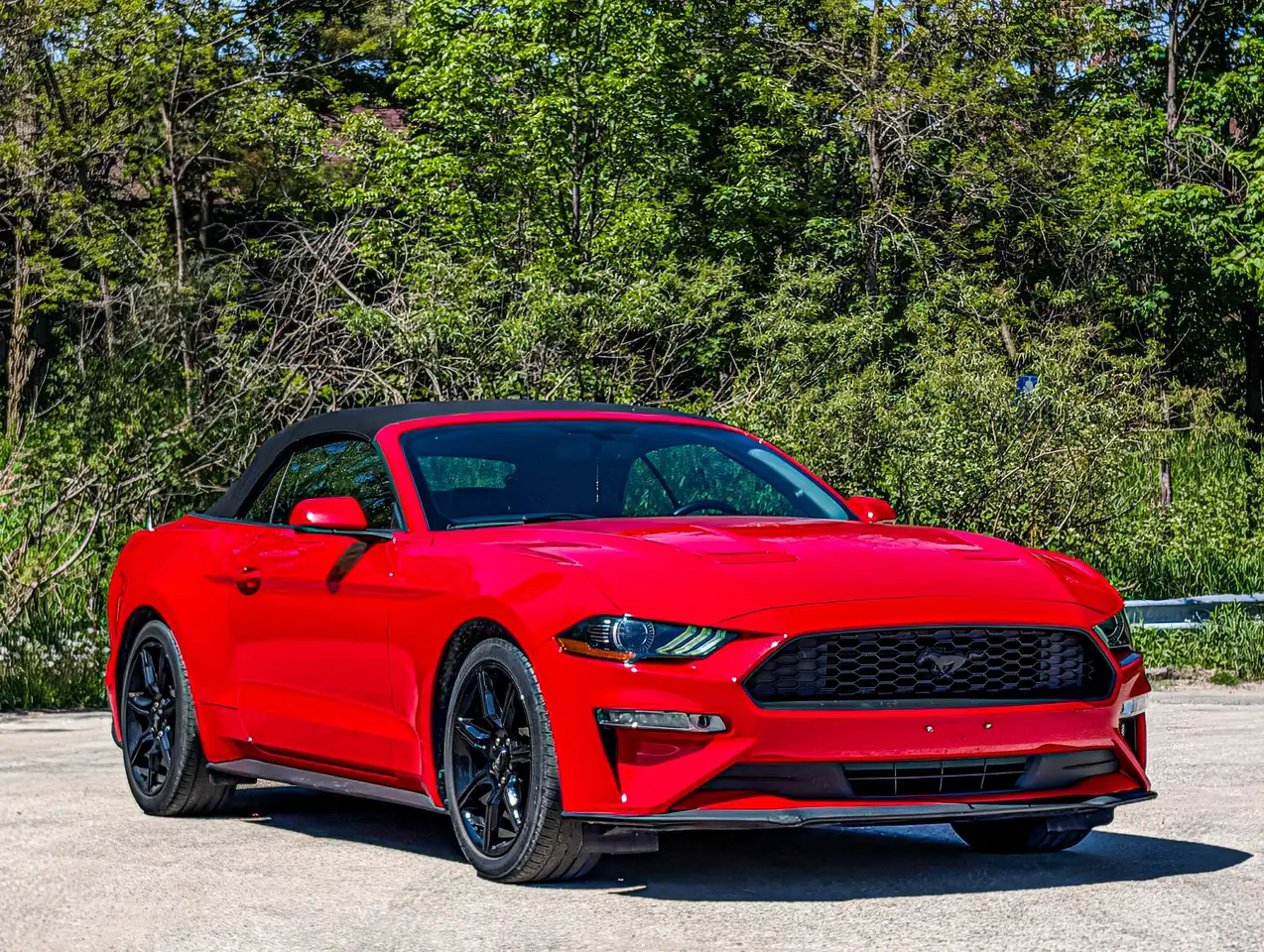Ford Mustang снимка Ford Mustang