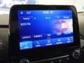Ford Puma 1.0 EcoBoost MHEV Titanium 125 Zilver - thumbnail 9