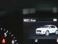 Ford Puma 1.0 EcoBoost MHEV Titanium 125 Zilver - thumbnail 17
