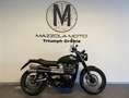 Triumph Street Scrambler Yeşil - thumbnail 1