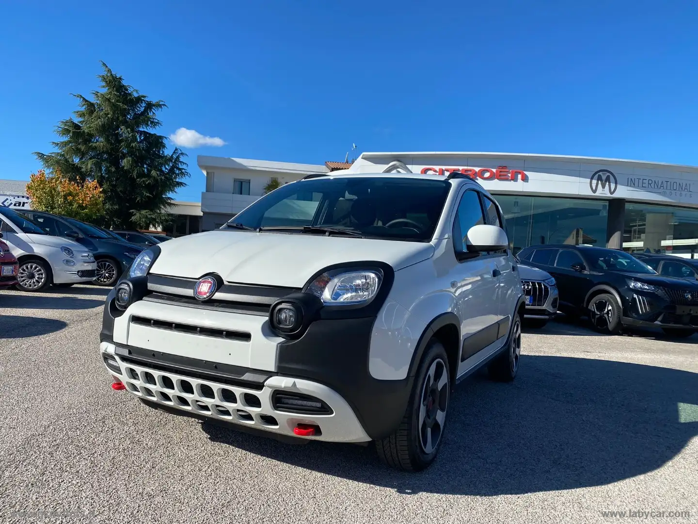 Fiat Panda Cross 1.0 FireFly S&S Hybrid Wit - 1