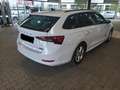 Skoda Octavia Combi Ambition 2.0TDI DSG*StHz*ACC*8fach Weiß - thumbnail 3