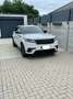 Land Rover Range Rover Velar nicht pakket Wit - thumbnail 1