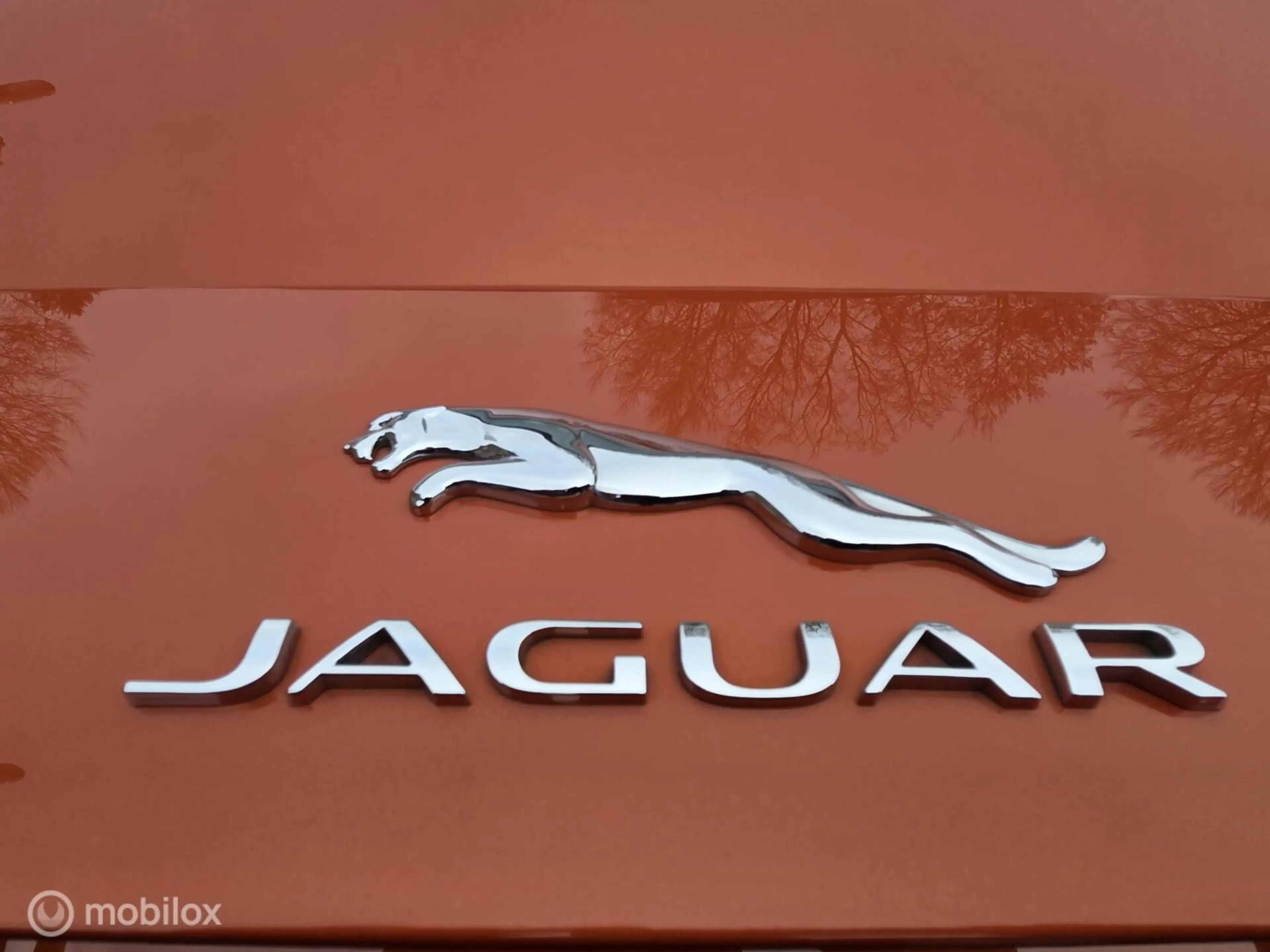 Jaguar F-Type 3.0 V6 Convertible Meridian|Firesand|Uniek — photo 14