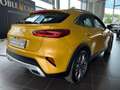 Kia XCeed Spirit ACC JBL LED NAVI Gelb - thumbnail 8