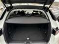 Land Rover Range Rover Evoque Range Rover Evoque 2.0 td4 HSE Dynamic Bianco - thumbnail 9