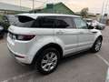 Land Rover Range Rover Evoque Range Rover Evoque 2.0 td4 HSE Dynamic Bianco - thumbnail 4