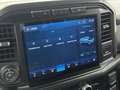 Ford F 150 5.0 V8 *SPORT*Longbed Leder LED Offroad Grau - thumbnail 24