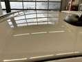 MINI Cooper D Countryman Mini Countryman 1.6 Cooper D all4 Bianco - thumbnail 5