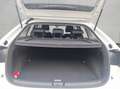 Volkswagen Taigo 1.0 TSI OPF Style LED Matrix ACC IQ-DRIVE Bianco - thumbnail 7