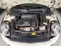 MINI Cooper S 184cv *N18B16A* *TETTO/PELLE/WEB SPOKE* Beige - thumbnail 8