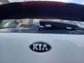 Kia Niro 1.6 GDi Hybrid DynamicLine - CARPLAY / ANDROID - C Wit - thumbnail 11
