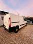 Citroen Jumpy FGN TOLE 29 L2H1 2.0 HDI 160 FAP BUSINESS Blanc - thumbnail 2