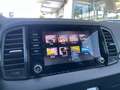 Skoda Karoq 4x4 Selection TDI DSG Rouge - thumbnail 12