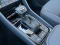 Skoda Karoq 4x4 Selection TDI DSG Rouge - thumbnail 16