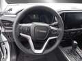 Isuzu D-Max D-MAX Space Cab 4x4 LS Aut. Weiß - thumbnail 9