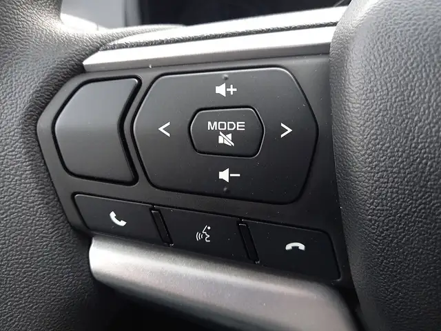 Isuzu D-Max D-MAX Space Cab 4x4 LS Aut. Ansicht 19