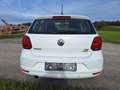 Volkswagen Polo Comfortline 1,2 TSI, KLima, PDC, TÜV-neu Weiß - thumbnail 5