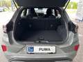 Ford Puma ST-LINE 125 PS EcoBoost/Benzin Mild-Hybrid (PRO... Silber - thumbnail 10