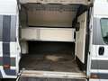 Fiat Ducato Pferdewagen Horsetruck Pferdebus - thumbnail 3