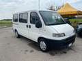 Fiat Ducato Panorama Alb - thumbnail 4