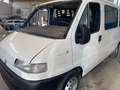 Fiat Ducato Panorama Blanc - thumbnail 18