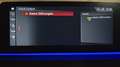 BMW M550 ACC*Massage*Fern.Parken*360 Kamera*Service Paket Grau - thumbnail 20