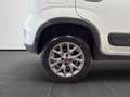 Fiat Panda 1.3 Multijet Blanc - thumbnail 21