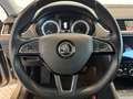 Skoda Octavia 1.0 TSi Grt. Style Business, Lederen bekleding, Tr Beige - thumbnail 22