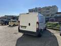 Fiat Ducato - thumbnail 3