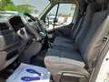 Renault Master Master T35 2.3 dCi 135 FRIGO PM-TM Ice L2 H2 Weiß - thumbnail 6