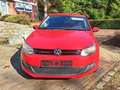 Volkswagen Polo Polo 1.6 TDi Trendline *clim*sièges chauffants Rouge - thumbnail 5