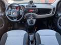 Fiat Panda 0.9 TWINAIR LOUNGE 80 PK AIRCO PDC BLUETOOTH Zwart - thumbnail 8
